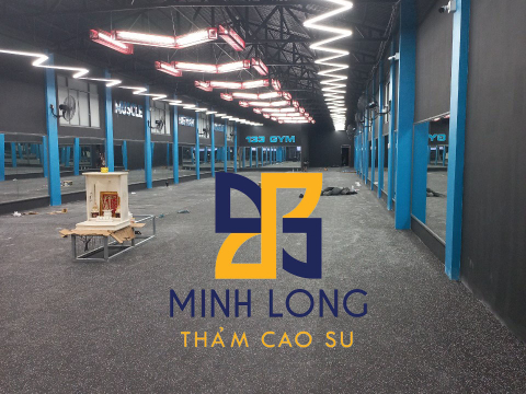 Cung cấp - thi công Thảm cao su - Gạch cao su EPDM – 133 Gym Liên hệ: 0898 080 320