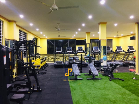 Thi công Gạch cao su, cỏ nhân tạo CCGrass – Blue Star Fitness