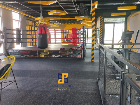 Cung cấp - thi công Thảm - Gạch cao su EPDM – GS Fitness Liên hệ: 0898 080 320