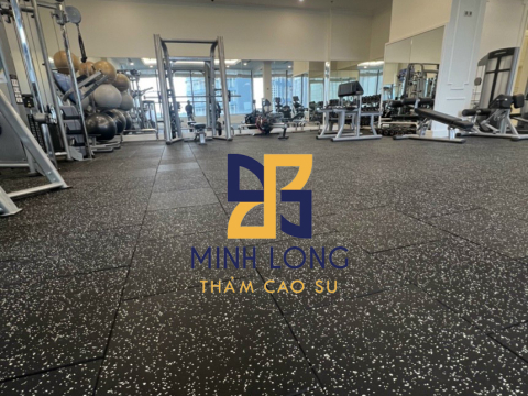 Cung cấp gạch cao su EPDM dày 20mm LH:0898080320