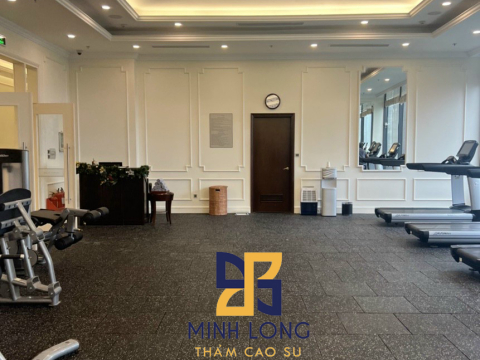 Cung cấp gạch cao su EPDM dày 20mm LH:0898080320